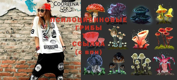 бутират Бородино